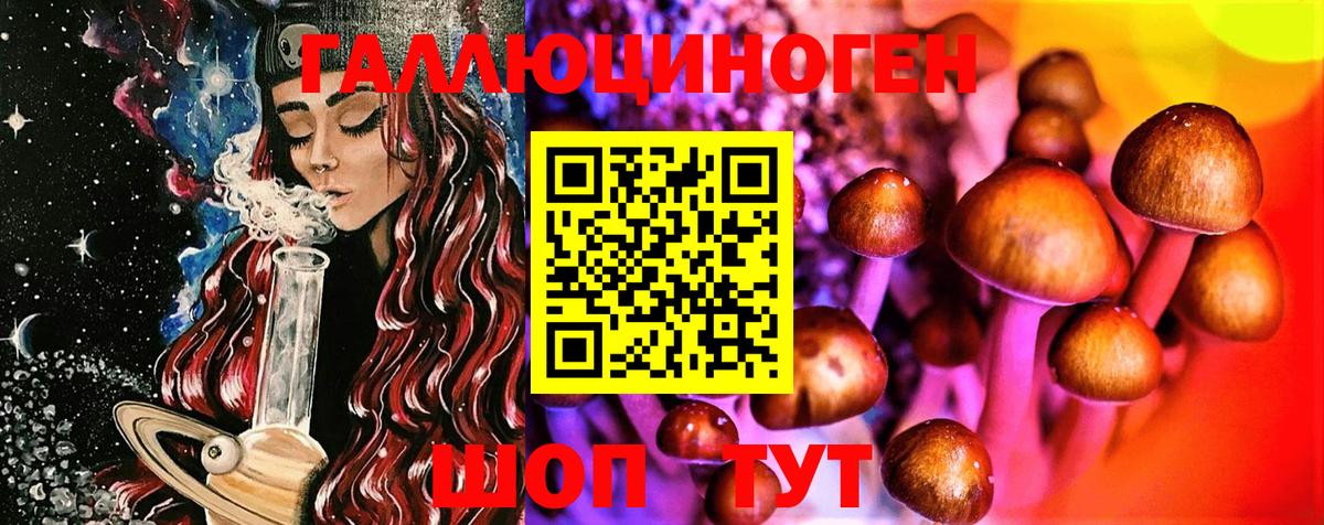Псилоцибиновые грибы Psilocybine cubensis Знаменск