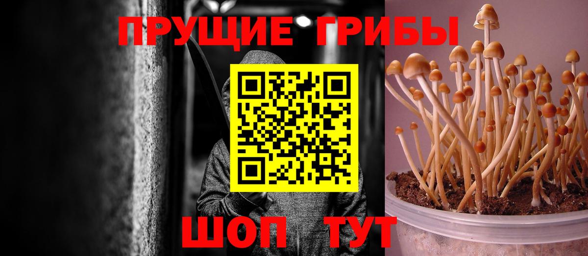 Псилоцибиновые грибы ЛСД  Вход с VPN  Псилоцибиновые грибы мицелий  Знаменск 